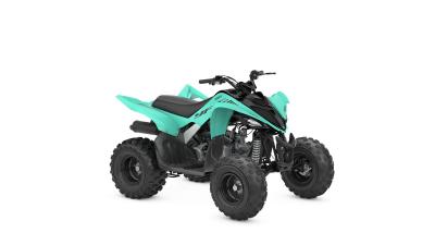 YAMAHA YFM 110 RAPTOR