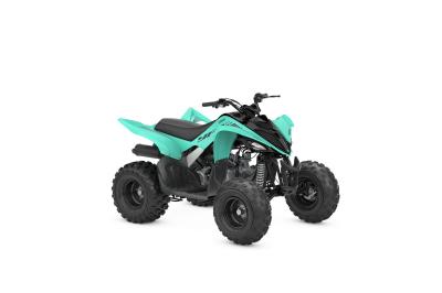 YAMAHA YFM 110 RAPTOR