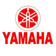 YAM COMPIEGNE